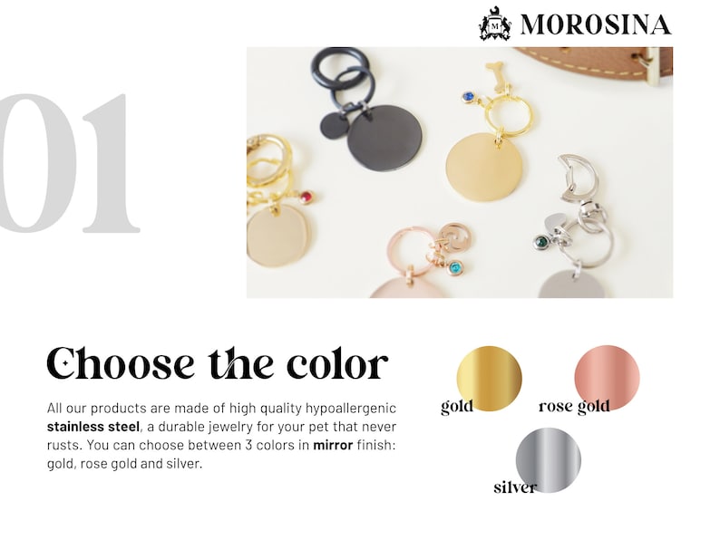 Choose the color of you pet tag: gold dog tag, silver tag, rose gold or black.