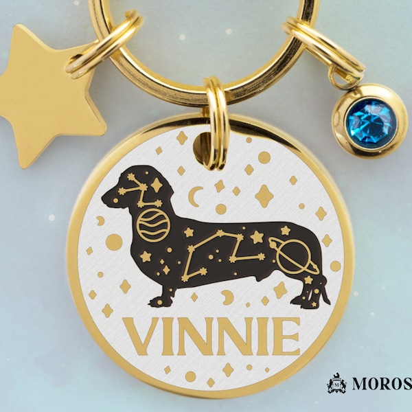 Dachshund Collar Etsy