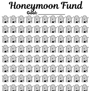 Honeymoon Fund Savings Tracker - Beehives