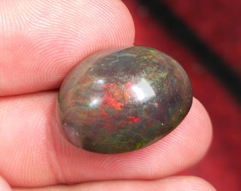 24 Karat australischer Black Opal Außergewöhnliche Größe und Feuer