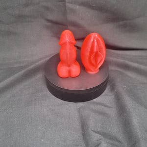 Spice & Spicey Salt and Pepper Shakers
