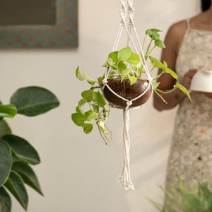 Thenga Coconut Shell Hanging Planter for Small Plants & Succulents (Coconut Planter + Macrame Hanger)