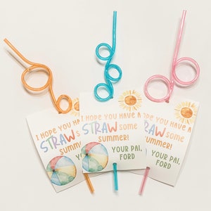 Summer Crazy Straw w/ Custom summer Card, Colorful Straw w/ Custom Tag, Rainbow Straws w/ Custom Tag, Silly Straw w/ Custom Tag