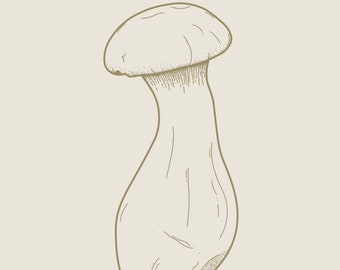 Oyster Mushroom Graphic Print