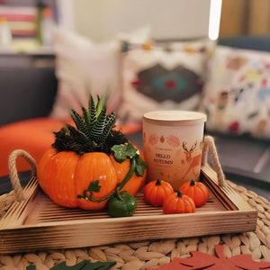 Puede incluir: Una bandeja de madera con una calabaza, una planta suculenta y una vela. La vela es blanca con una tapa marrón y dice "Hello Autumn". También hay tres pequeñas calabazas naranjas en la bandeja.
