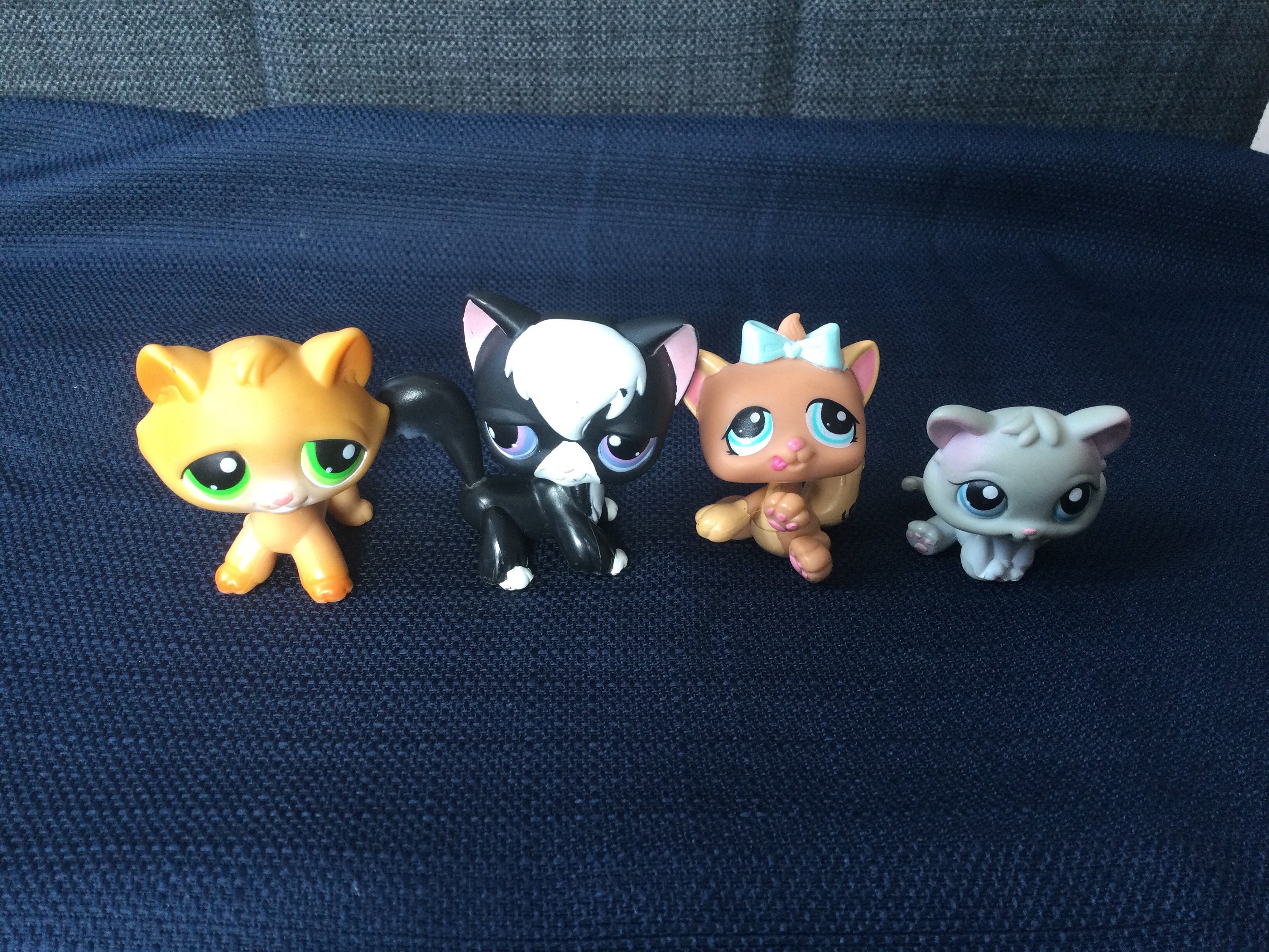 Short Hair Cat Lps Etsy