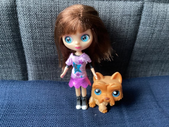 Littlest Pet Shop Blythe Dolls : r/Dolls