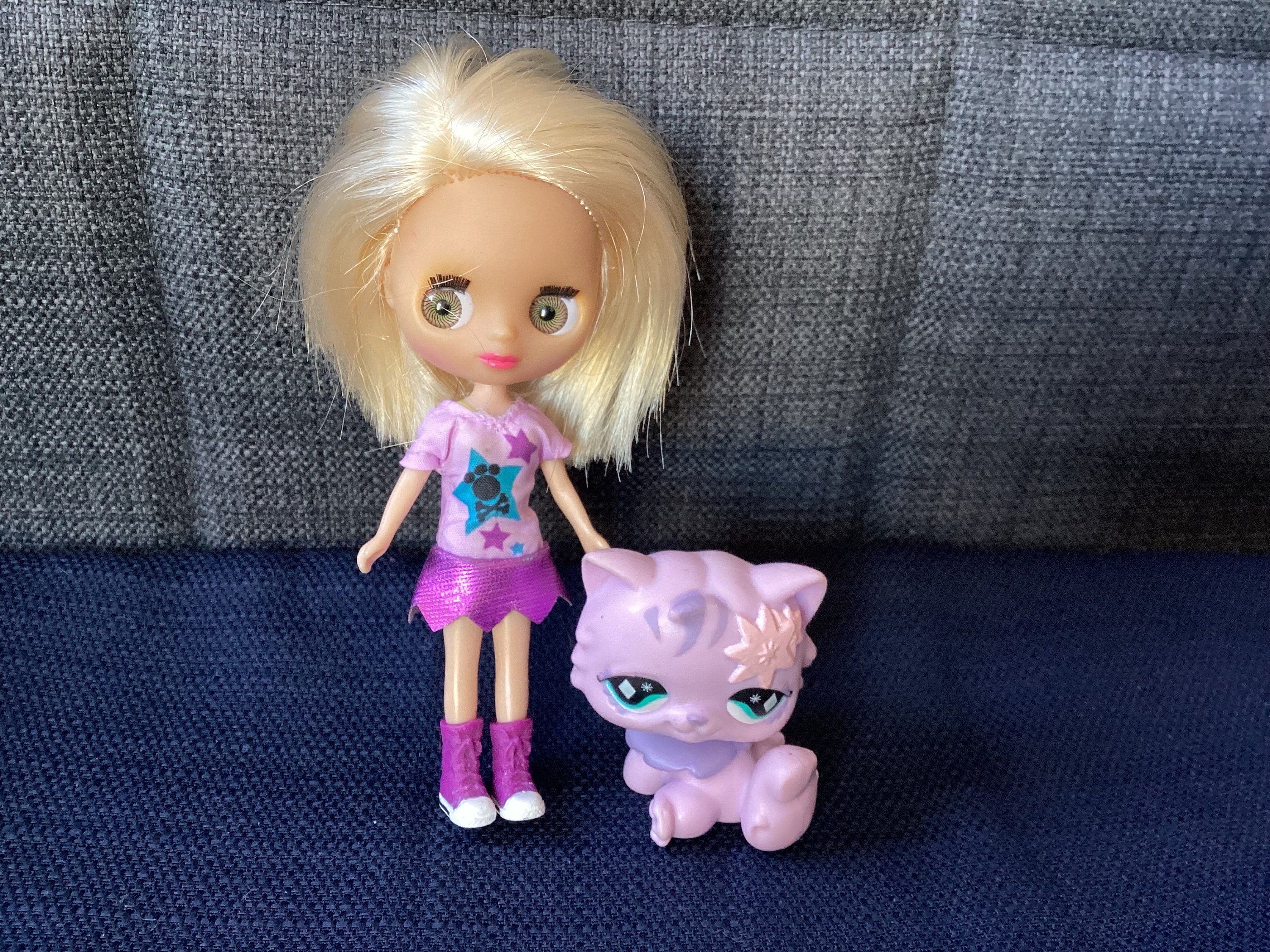 Littlest Pet Shop Blythe Doll Set Outdoor Afternoon