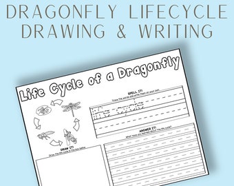 May include: Black and white printable worksheet with the title "Life Cycle of a Dragonfly". The worksheet includes a diagram of the dragonfly life cycle, a section to trace the word "life cycle", and a section to answer questions about the life cycle.