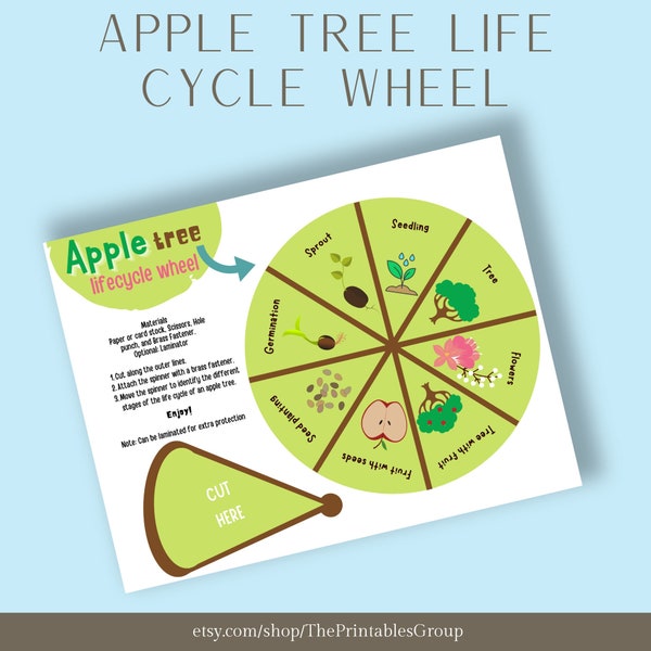 Apple Tree Life Cycle Wheel | Life Cycle of an Apple Nature Study Printable PDF Chart | Apple Unit Study Life Cycle Sequencing Learning Pack