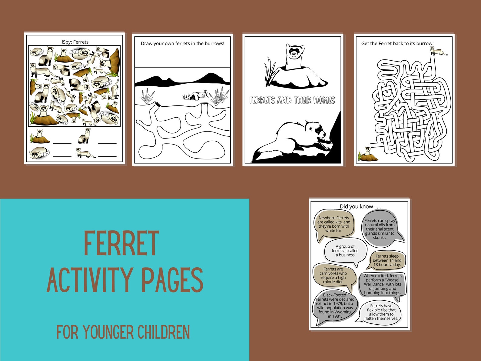 Ferret Activity Sheets Printable Fun Kids Activity Kit Ferret Crossword Puzzle Word Search Fun