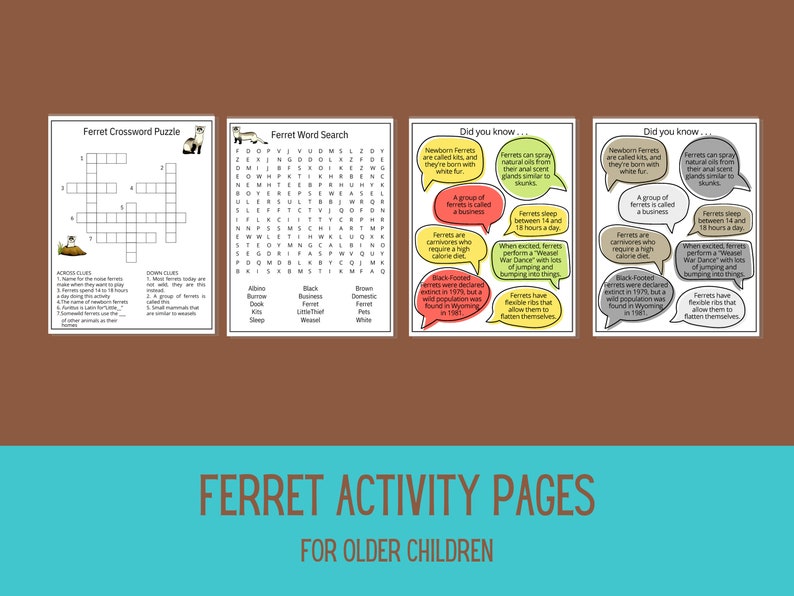 Ferret Activity Sheets Printable Fun Kids Activity Kit Ferret Crossword Puzzle Word Search Fun