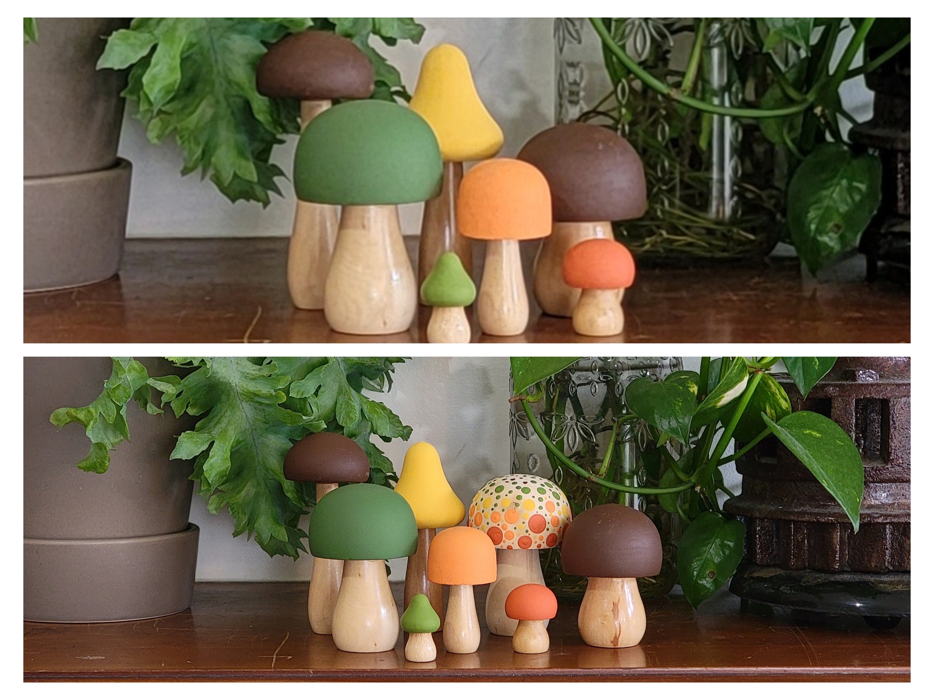 Wooden Mushroom Set