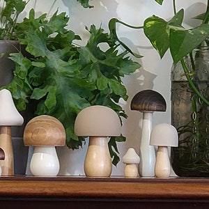 Natural Neutral Set Hand Painted Wooden Mushrooms planter stick, Shelf Sitter, Tiered Tray Decor, Woodland Nursery Decor, Modern Farmhouse image 8