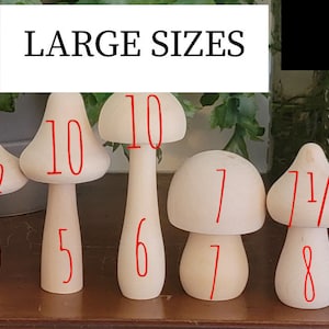 Hand Painted Wooden Mushrooms; Mushroom Family Set, planter stick, Tiered Tray Decor, Woodland Nursery Decor, Montessori Toy, plant decor,