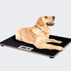 Veterinary scale XXL animal scale digital dog scale cat platform scale 100kg/100g image 1