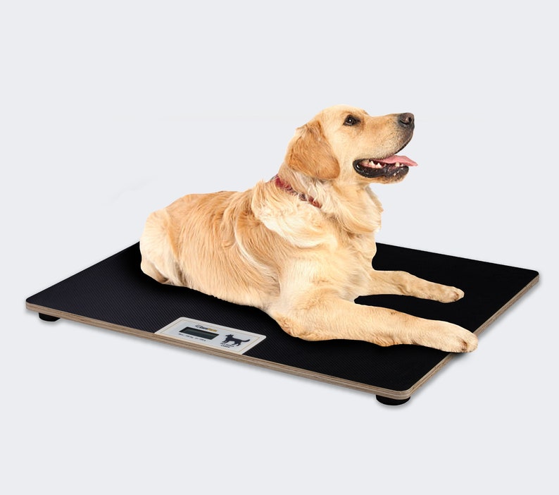 Veterinary scale XXL animal scale digital dog scale cat platform scale 100kg/100g image 1