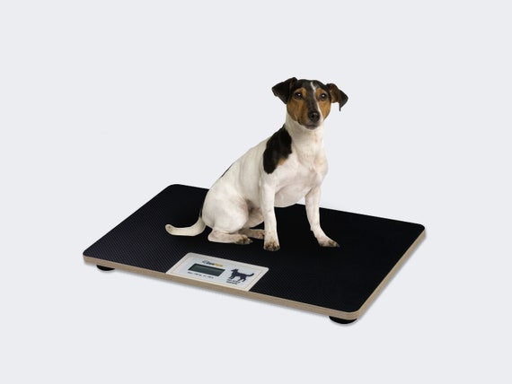Bilancia veterinaria XL bilancia per animali bilancia digitale per cani  bilancia per gatti 100 kg / 100 g -  Italia