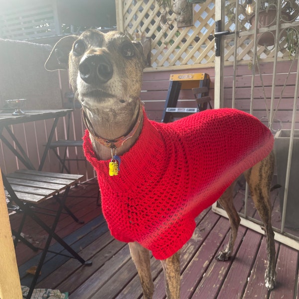 Greyhound Crochet Sweater PATTERN PDF ONLY