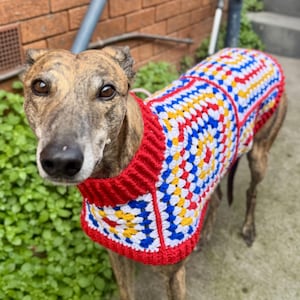 May include: A dog jumper featuring a colourful granny square crochet pattern in red, white, blue, and yellow. The garment has a ribbed red collar and matching red trim along the edges, designed to fit over the torso of a dog with a long neck.