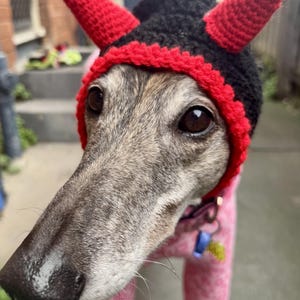 May include: A greyhound dog wearing a black and red crocheted devil horn hat and a pink sweater. The hat has two red horns and a red trim. The dog is looking directly at the camera.