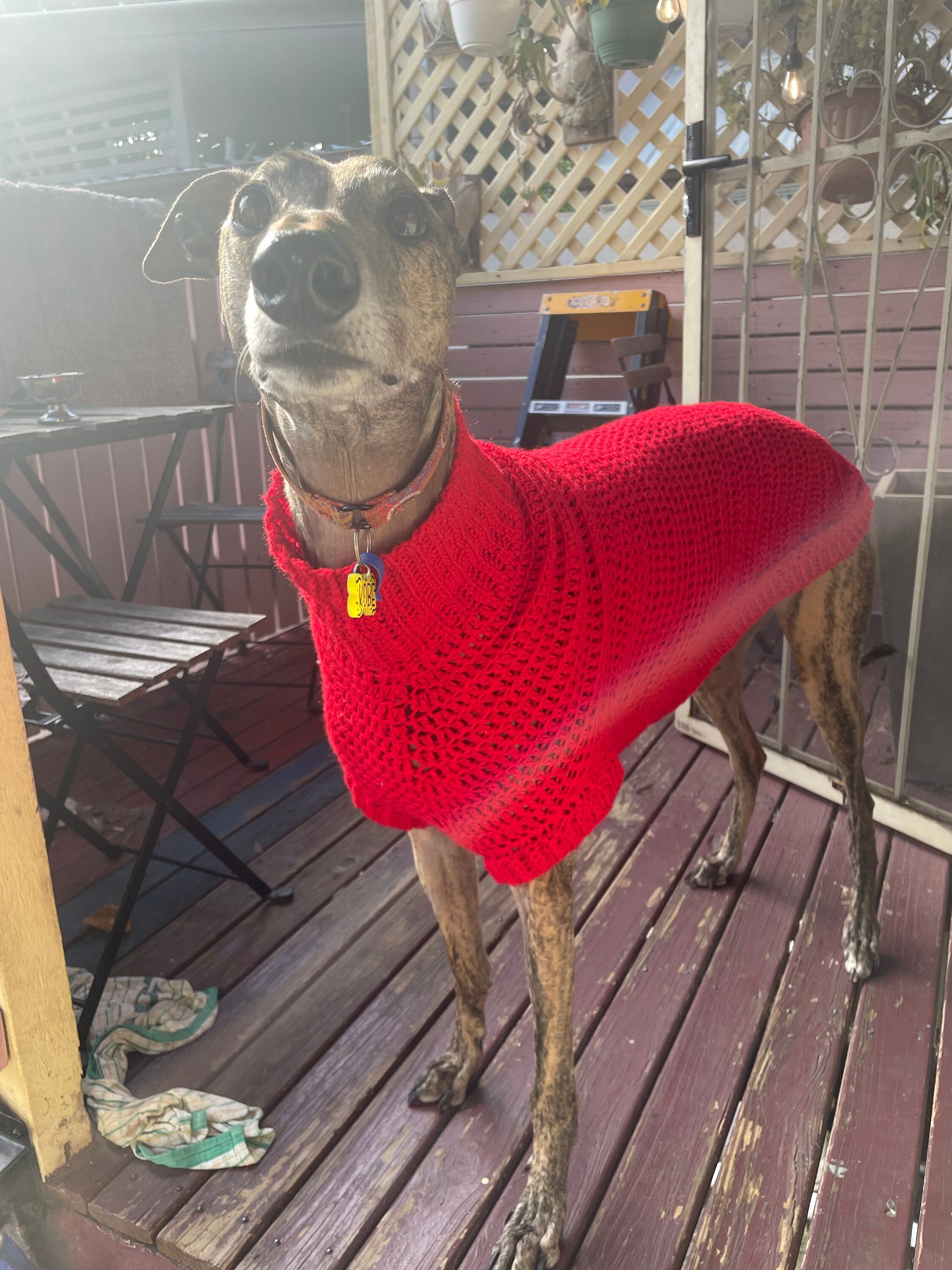 Greyhound Crochet Sweater PATTERN PDF ONLY Etsy