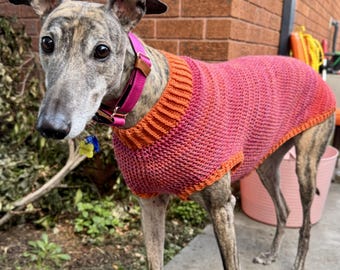 Patrón de chaleco de suéter de ganchillo para galgo (SOLO PDF)