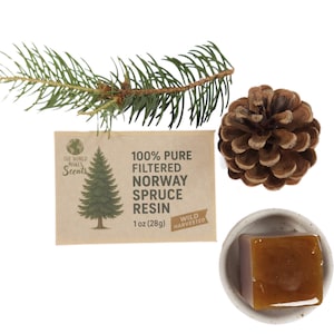Filtered Pure Norway Spruce Resin (Picea abies) 1oz (28g)