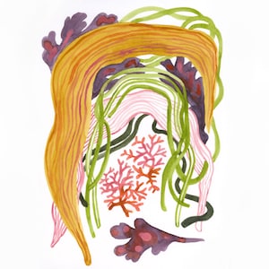 Scottish Kelp Giclée Print