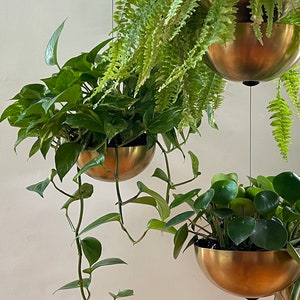 BABYLON hanging planters image 1