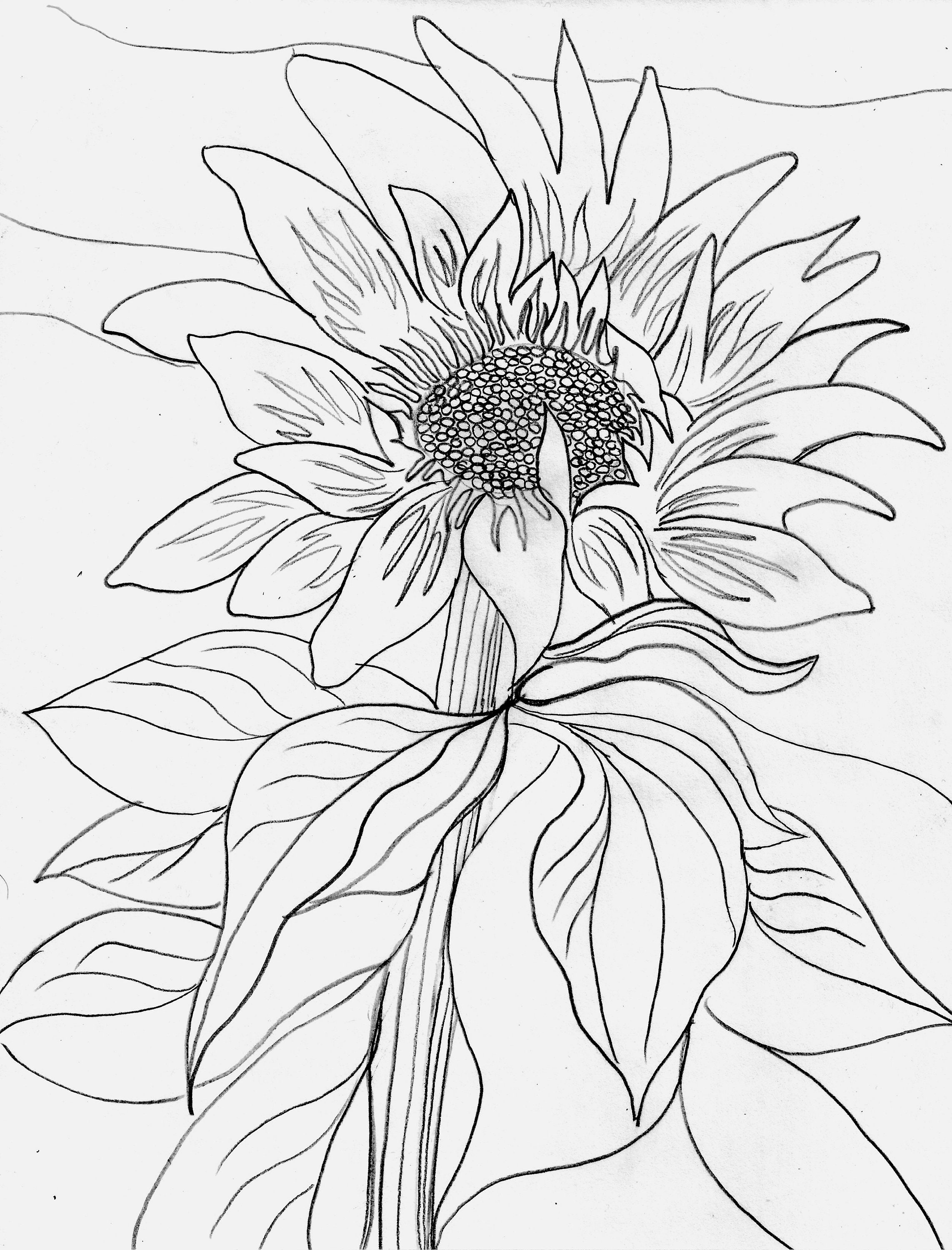 Coloring Pages Printable Download - Etsy