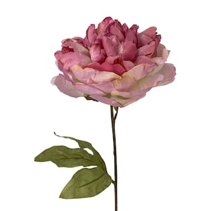 May include: Dried look Parisian peony stem in mauve, 24 inches long.