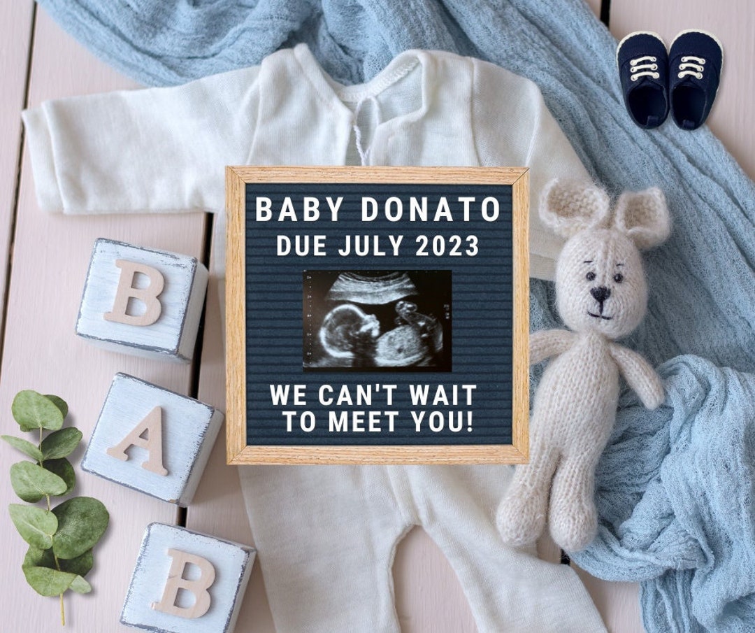 Pregnancy Announcement Simple Baby Announcement Digital for Etsy