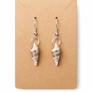 May include: A pair of seashell earrings with silver-colored hooks and hoops. The shells are cone-shaped, with a cream and brown striped pattern. The earrings are displayed on a brown card.