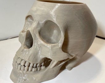Realistic Human Skull Pot / Planter / Bowl / Container / 3D Printed / PLA or PETG