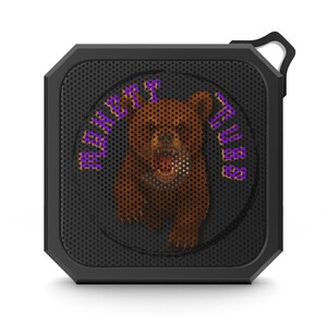 Cub Bluetooth Speaker, Wildlife Animal Sound System, Portable Music Player, Theme Music Box, Wireless Speaker for Outdoor, Home