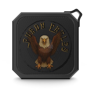 Eagle Bluetooth Speaker, Wildlife Animal Sound System, Portable Music Player, Theme Music Box, Wireless Speaker for Outdoor, Home