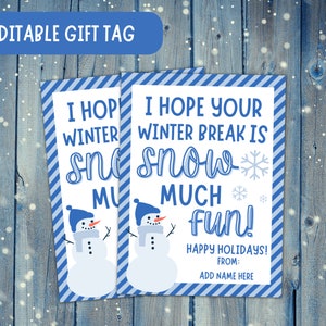 Snow Much Fun Gift Tag, Teacher Gift Tag, Student Class Gift Tag, Christmas Gift Tag, Holiday Gift Tag, Student Holiday Card