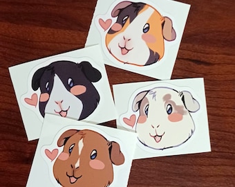 Guinea Pig Sticker | Matte Vinyl Decal