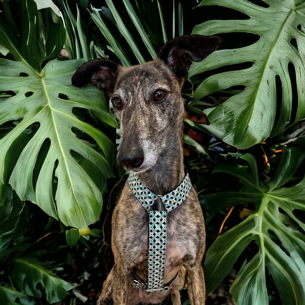 Stylish geometric print dog safety harness, perfect for long walks and thousands of adventures.