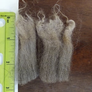 Romanov Sheep Wool (raw and unwashed)