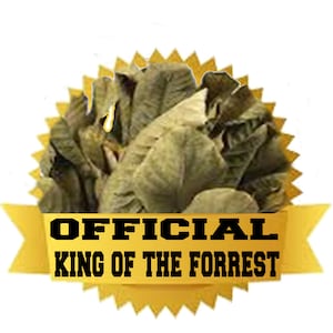 OFFICIAL KING of the FORREST