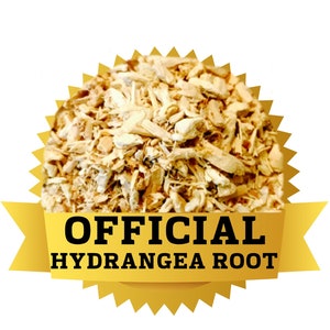 May include: A close-up of dried, light brown hydrangea root, with a gold ribbon and the text "OFFICIAL HYDRANGEA ROOT".