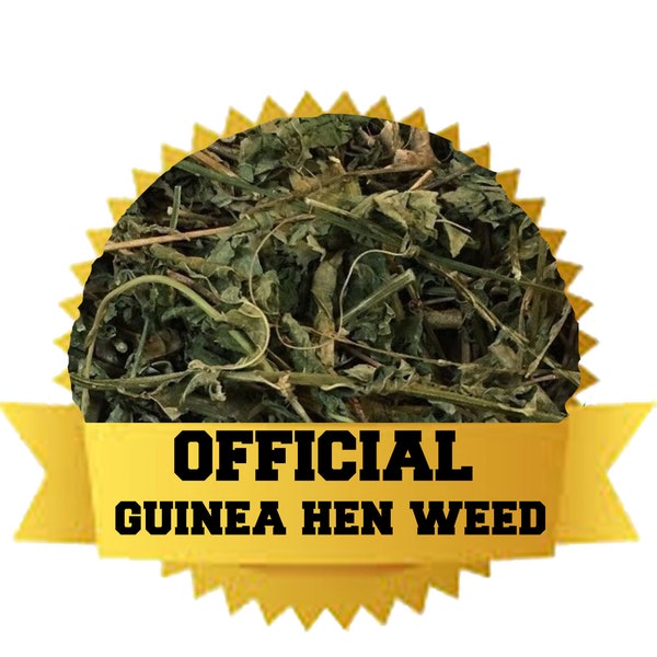 GUINEA HEN WEED