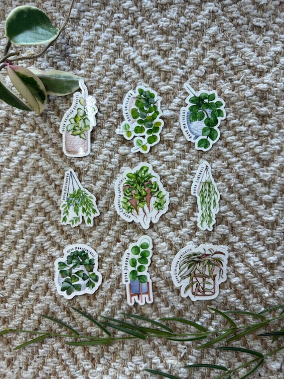 Houseplant Stickers