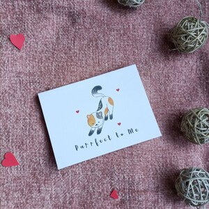 Purrfect para mí tarjeta de San Valentín
