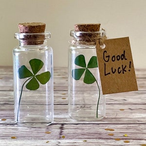 Véritable trèfle à quatre feuilles dans une bouteille - Véritable bouteille en verre à message personnalisable avec bouchon en liège - Cadeau unique - Cadeau porte-bonheur - Remise de diplôme, nouvel emploi