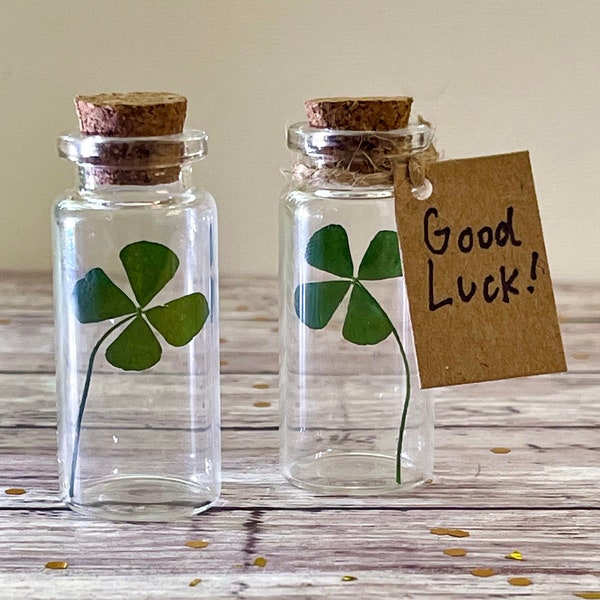 Real Four Leaf Clover in a Bottle - Genuine Customizable Message Glass Bottle with Cork - Unique Gift - Good Luck Gift - Graduation, New Job