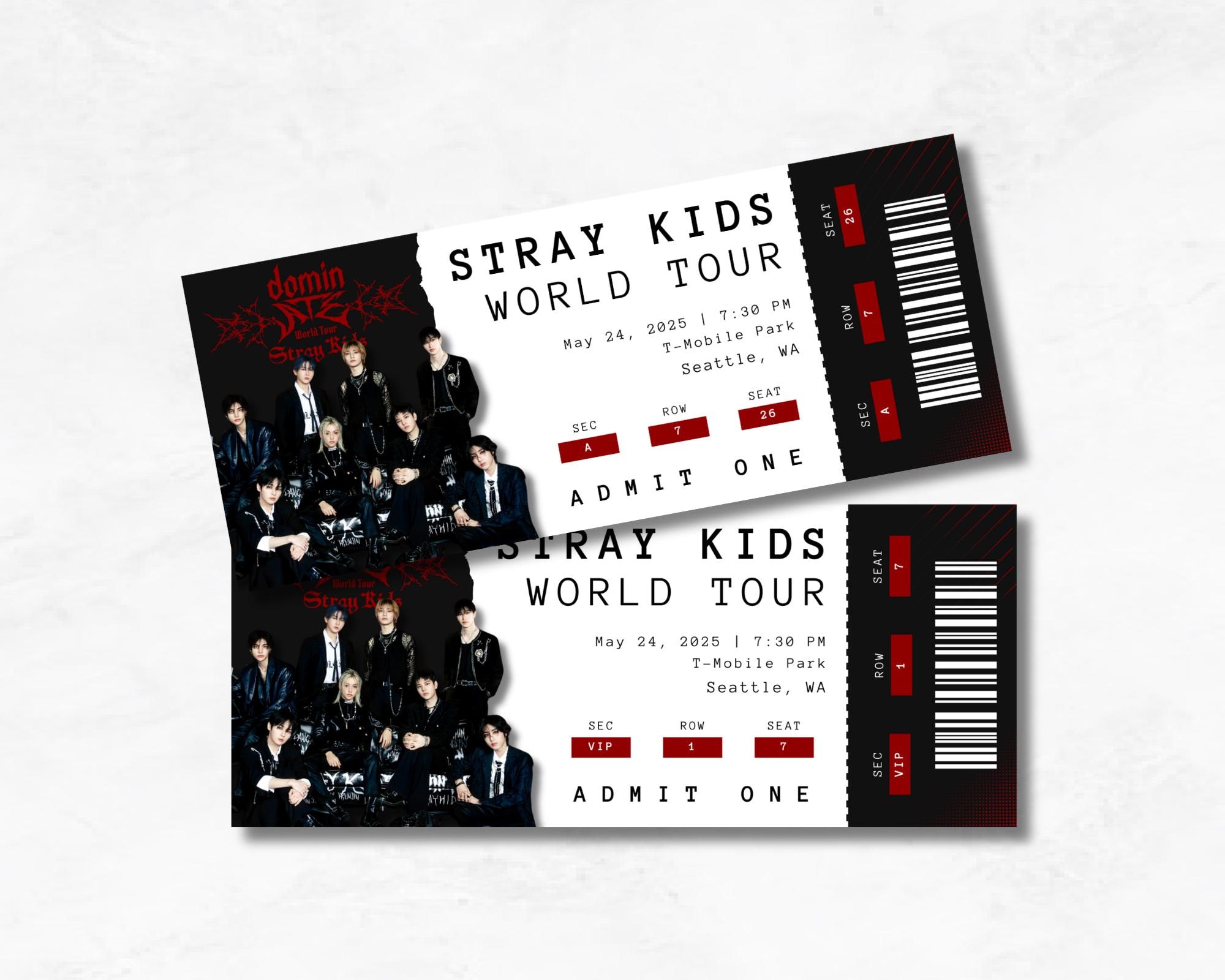 Personalized Stray Kids Concert Ticket | Physical Souvenir Ticket