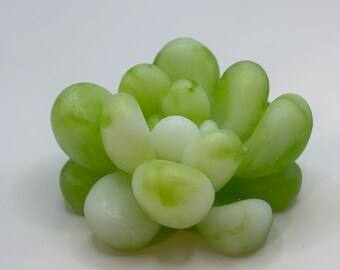 Green Marble Succulent Paperweight